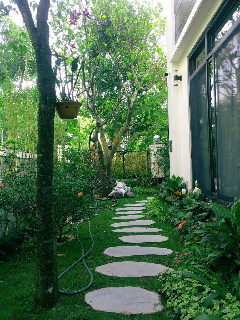 Thiết kế cảnh quan sân vườn đẹp