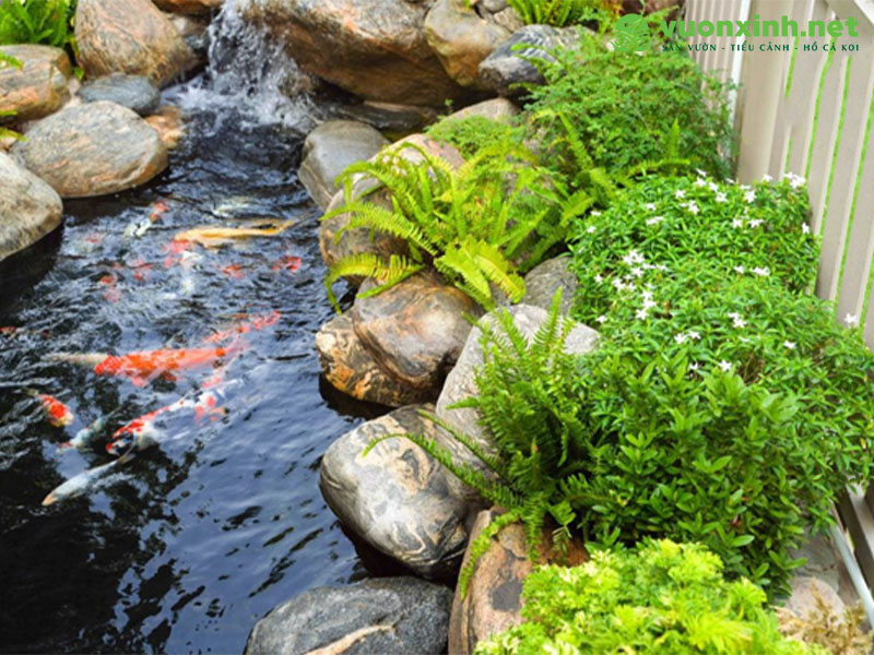 Tiểu cảnh hồ nước