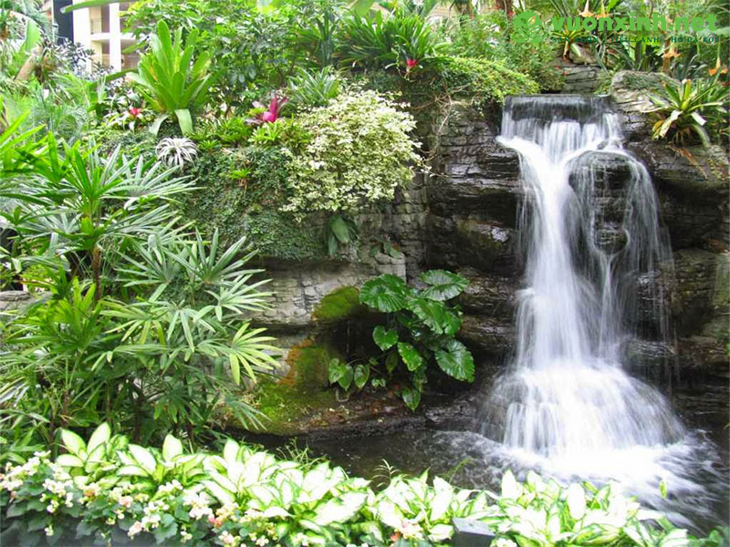 Tiểu cảnh hồ nước