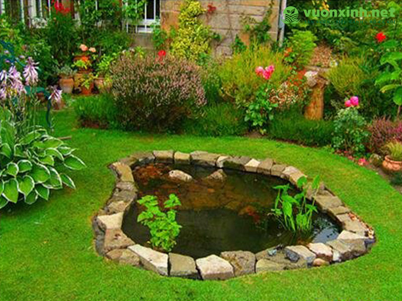 Tiểu cảnh hồ nước