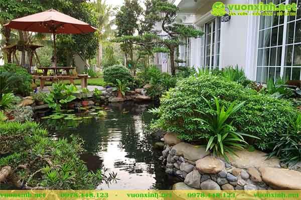 Mẫu Hồ cá koi sân vườn biệt thự