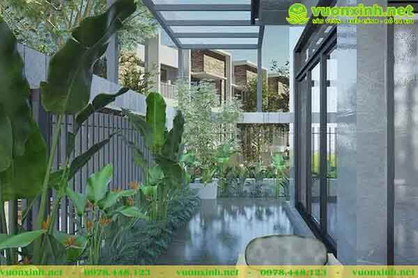 Mẫu hồ cá Koi mini sân vườn