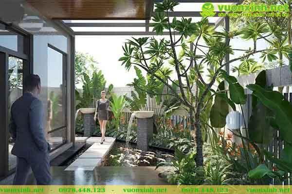 Mẫu hồ cá Koi mini sân vườn