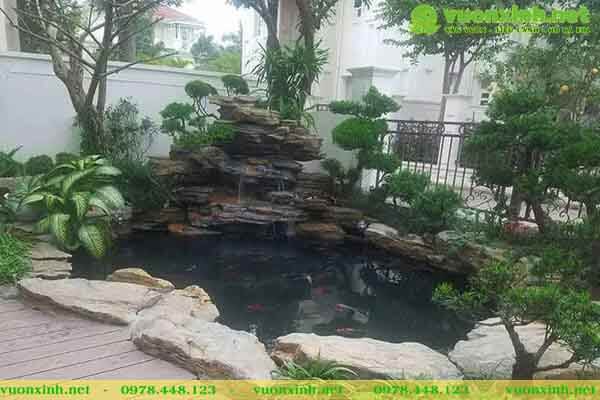 Mẫu hồ cá koi sân vườn nhà phố