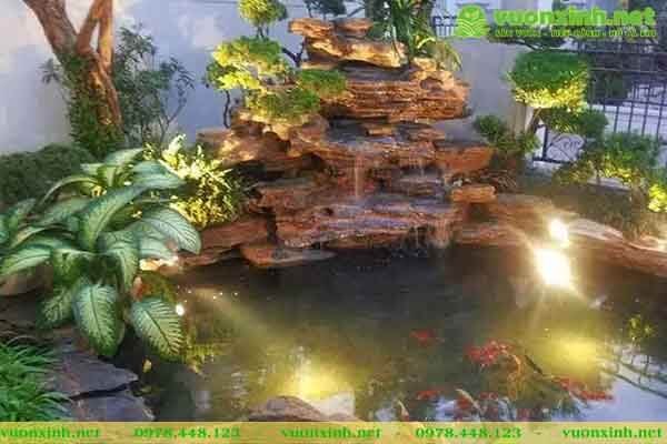 Mẫu hồ cá koi sân vườn nhà phố