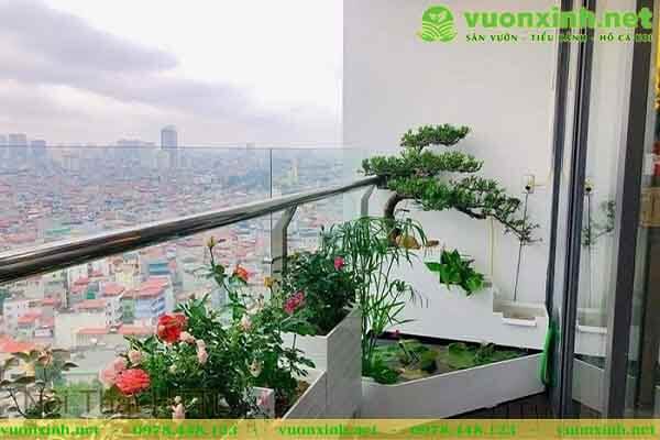 Thiết kế thi công tiểu cảnh ban công