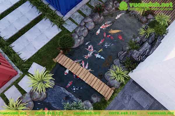 Thiết kế thi công hồ cá koi