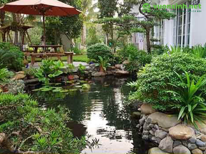 Thiết kế thi công sân vườn