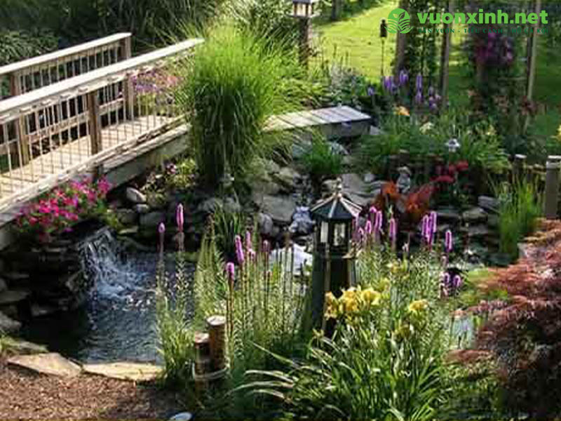 Thiết kế thi công sân vườn