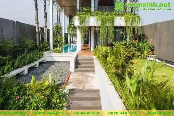 Tiểu cảnh non bộ sân vườn