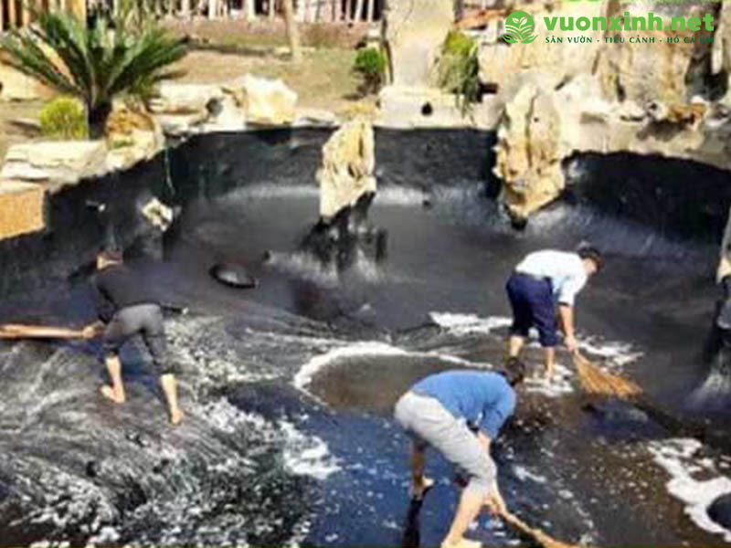 Dịch vụ bảo trì bảo dưỡng hồ cá koi