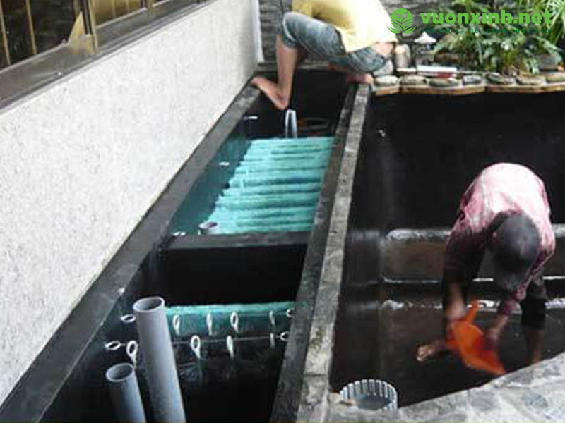 Dịch vụ bảo trì bảo dưỡng hồ cá koi