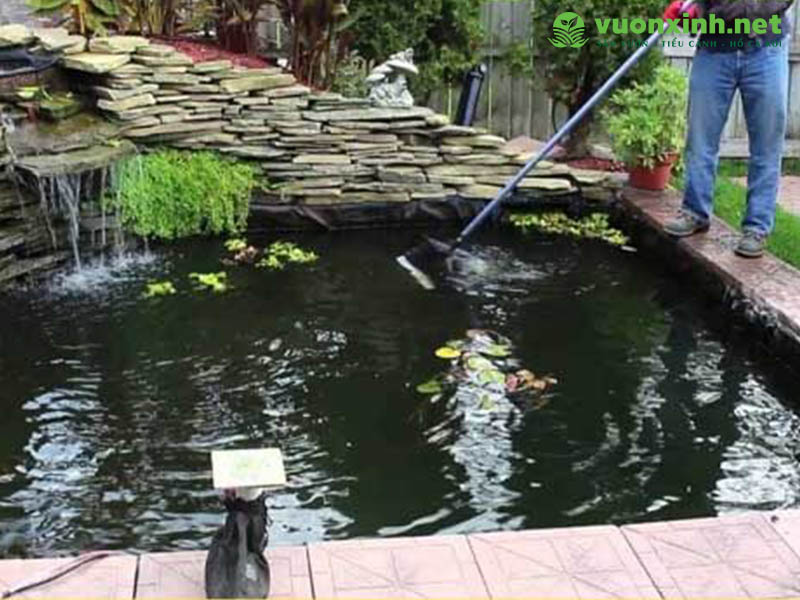 Dịch vụ bảo trì bảo dưỡng hồ cá koi