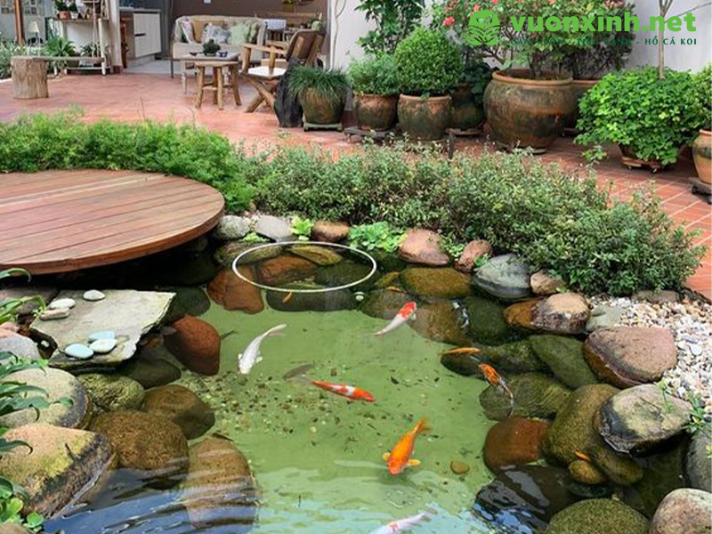 Vật tư thiết bị sân vườn hồ cá koi