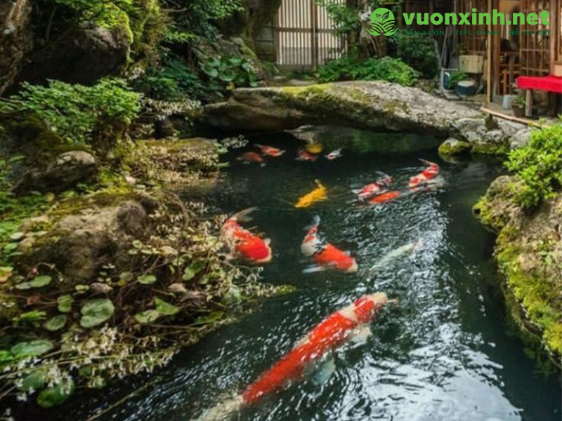 Vật tư thiết bị sân vườn hồ cá koi