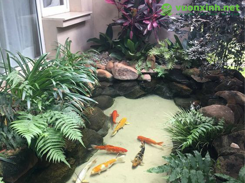 Vật tư thiết bị sân vườn hồ cá koi