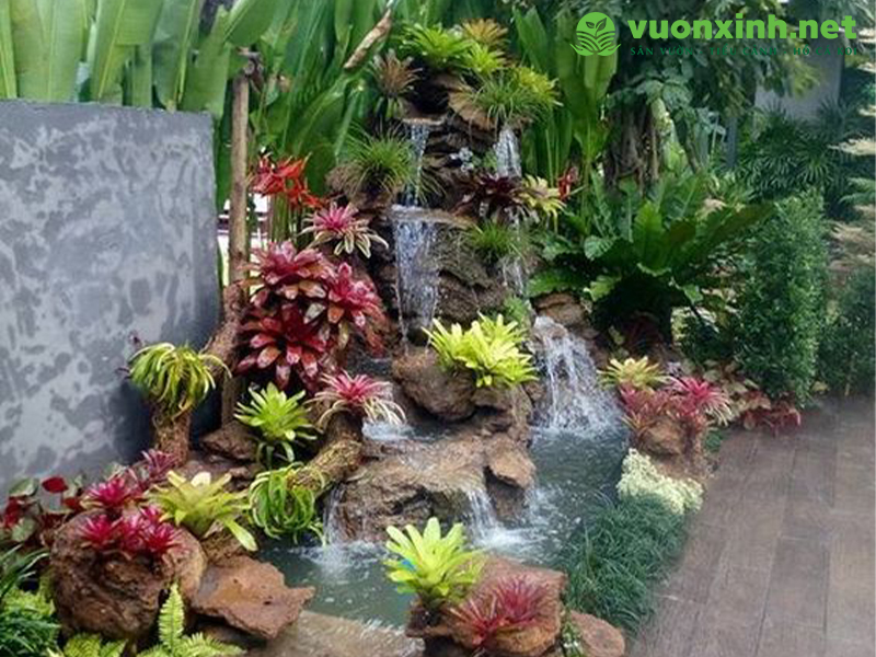 Thiết kế thi công sân vườn