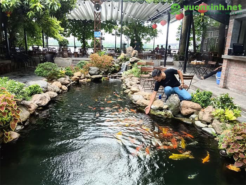 Vật tư thiết bị sân vườn hồ cá koi