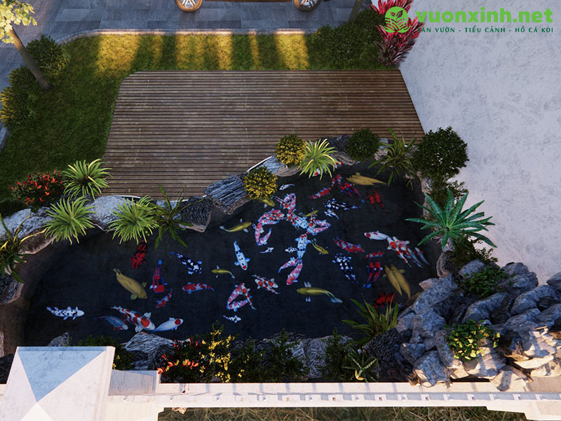 Hồ cá koi sân vườn