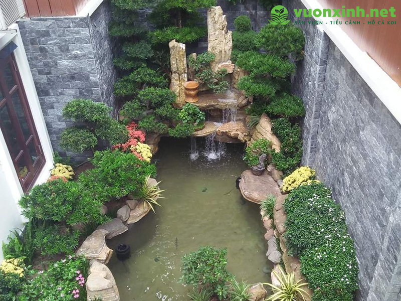 Hồ cá Koi là gì?