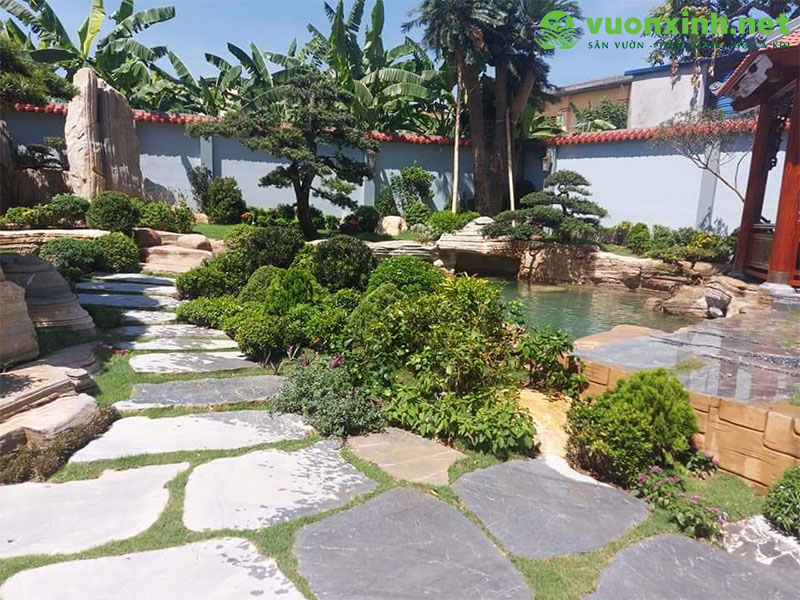 Thi công hồ cá koi đẹp