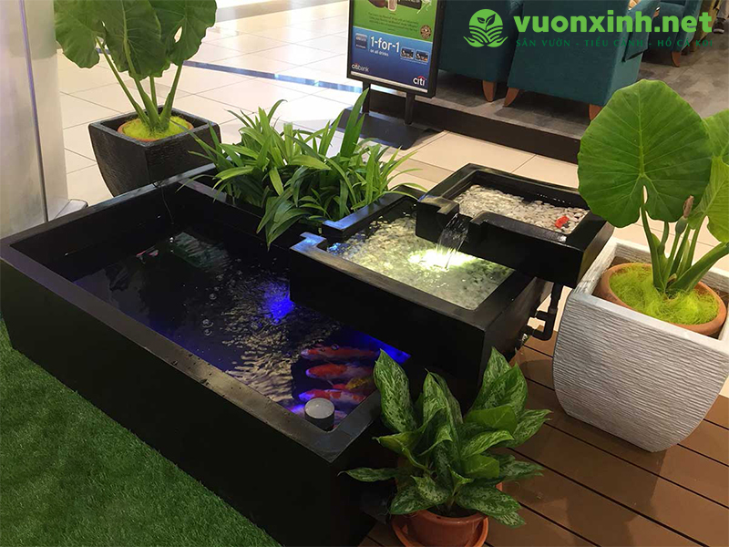 Mẫu hồ cá koi mini đẹp