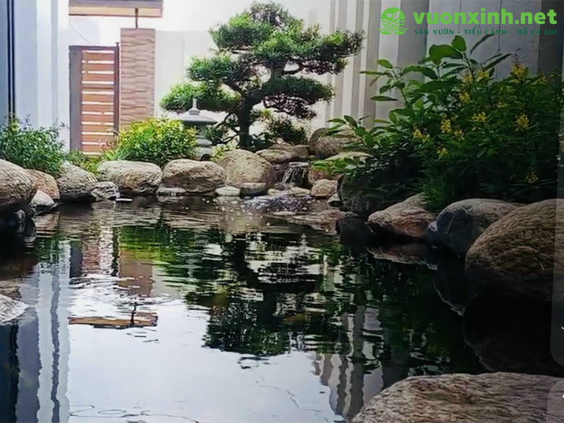 Thi công hồ cá koi đẹp