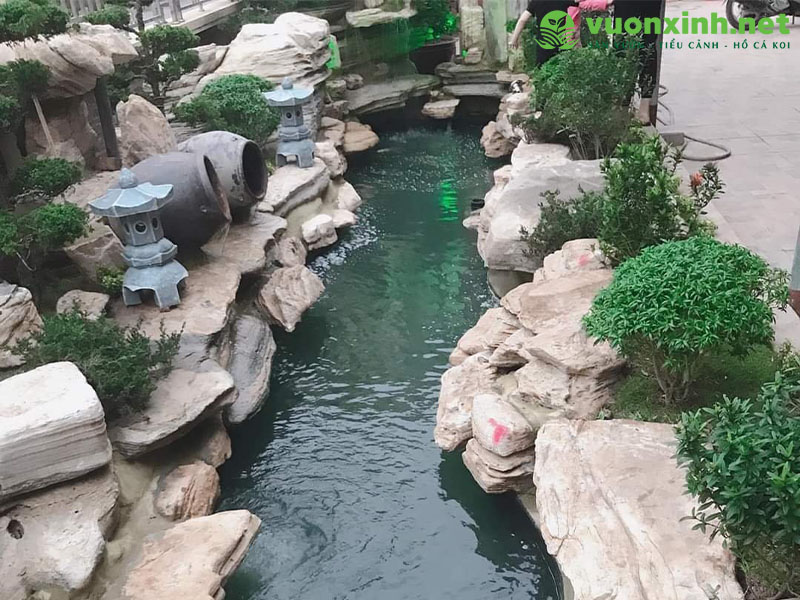 Thiết kế hồ cá Koi đẹp