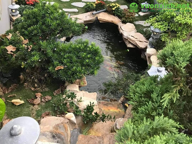 Hồ cá koi sân vườn