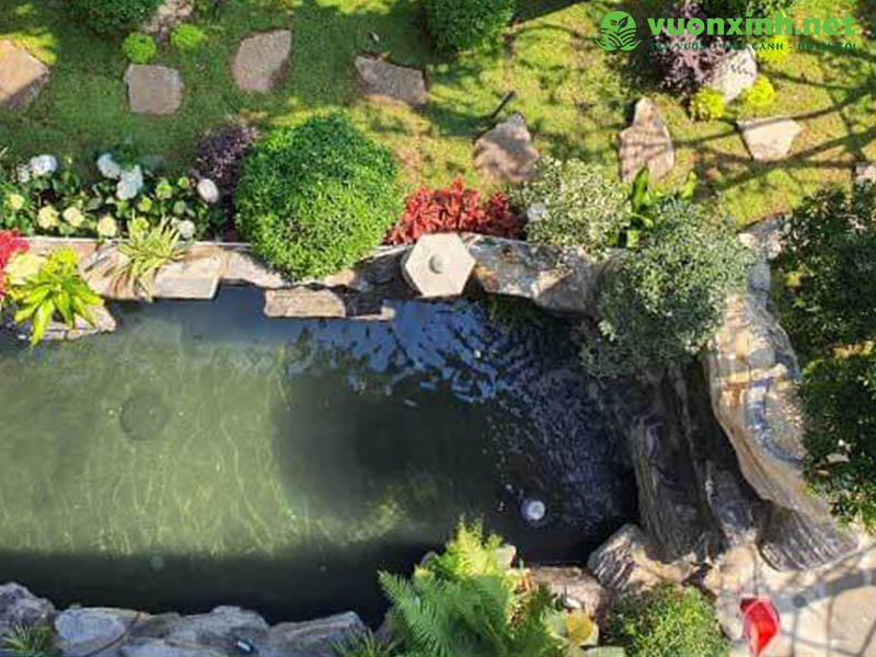 Thiết kế hồ cá Koi đẹp