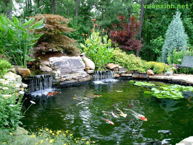 Vật tư thiết bị sân vườn hồ cá koi