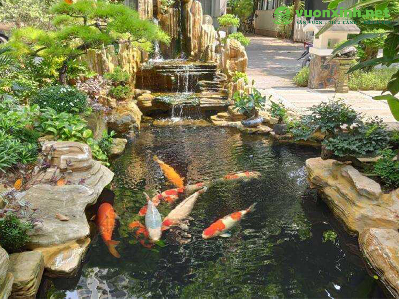 Hồ cá Koi là gì?