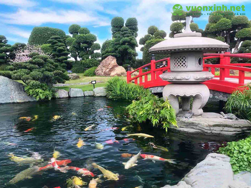 Thiết kế hồ cá koi chuẩn đẹp