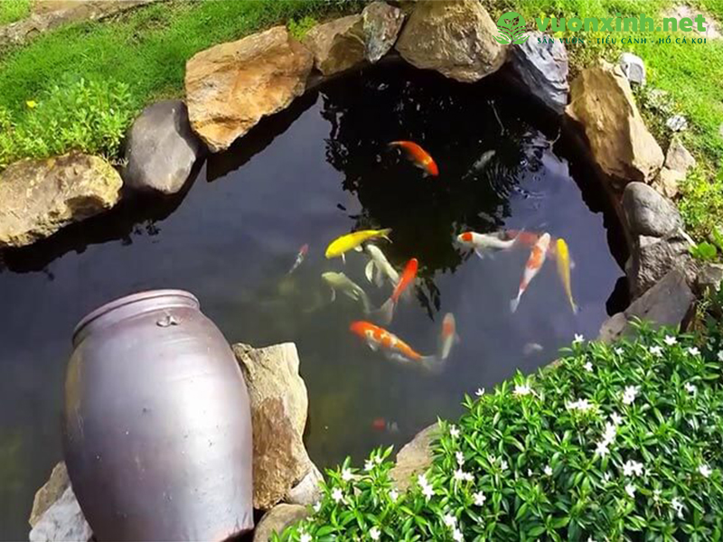 Thiết kế hồ cá koi chuẩn đẹp