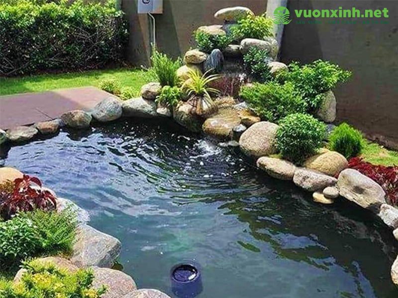Thiết kế hồ cá koi chuẩn đẹp