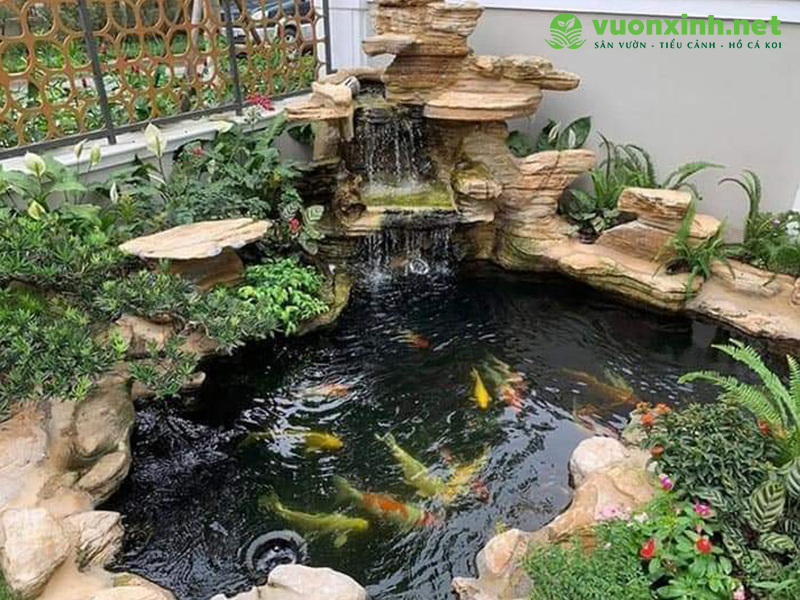 Mẫu hồ cá koi mini đẹp