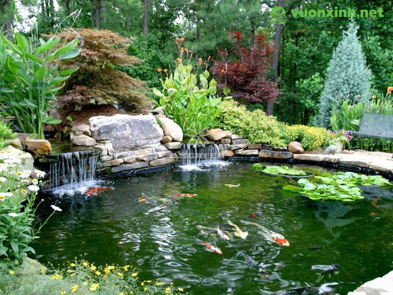 Thiết kế hồ cá koi chuẩn đẹp