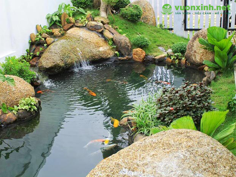 Hồ cá koi sân vườn