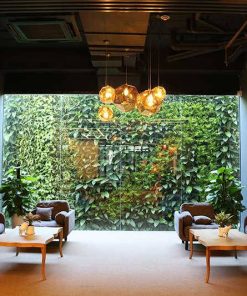 Vườn tường - Mẫu 01