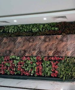 Vườn tường - Mẫu 07