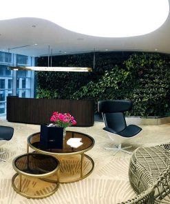 Vườn tường - Mẫu 06