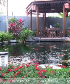 Mẫu hồ cá koi sân vườn đá cổ thạch vàng 