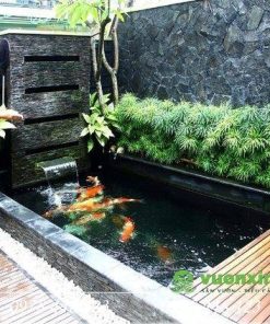 Hồ cá Koi mini 01