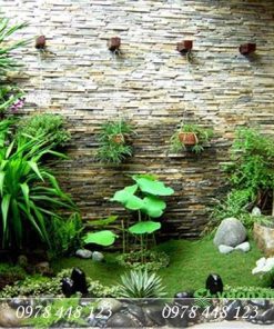 Tiểu cảnh giếng trời - Mẫu 20