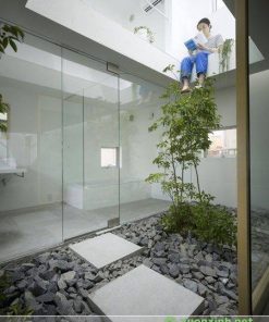 Tiểu cảnh giếng trời - Mẫu 40