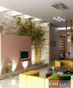 Tiểu cảnh giếng trời - Mẫu 08