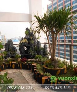 Tiểu cảnh sân thượng - Mẫu 17