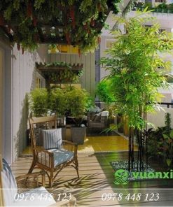 Tiểu cảnh sân thượng - Mẫu 19