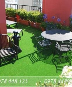 Tiểu cảnh sân thượng - Mẫu 35