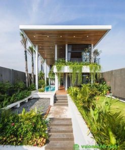 Tiểu cảnh sân thượng - Mẫu 37